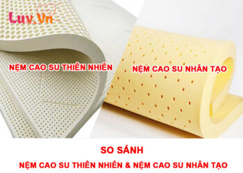 So sánh Nệm Cao Su Thiên Nhiên & Nệm Cao Su Nhân Tạo