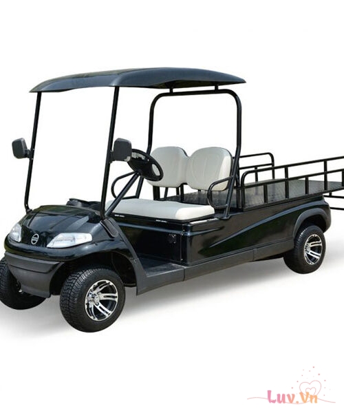 Xe điện chở hàng sân golf 