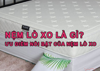 Nệm Lò Xo là gì? Ưu điểm nổi bật của Nệm Lò Xo