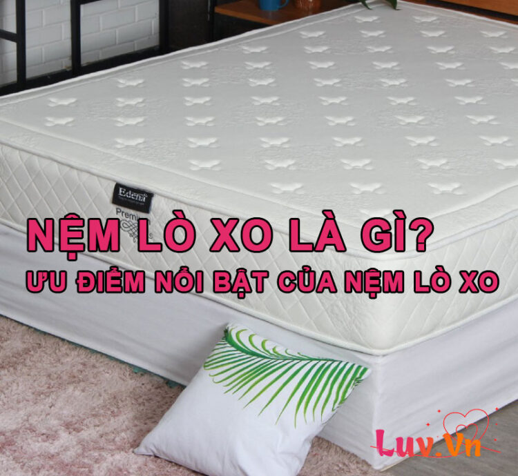 Nệm Lò Xo là gì? Ưu điểm nổi bật của Nệm Lò Xo bạn nên biết 6 Nệm Lò Xo là gì? Ưu điểm nổi bật của Nệm Lò Xo