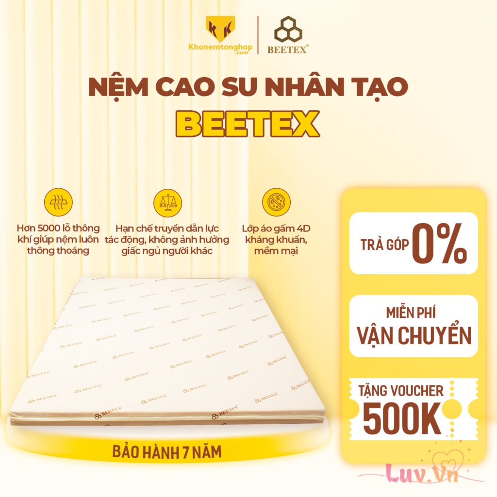 Top 10+ Mẫu Nệm Cao Su Non 5cm Giá Rẻ Chất Lượng 2023 10 Nệm cao su non Beetex 5cm
