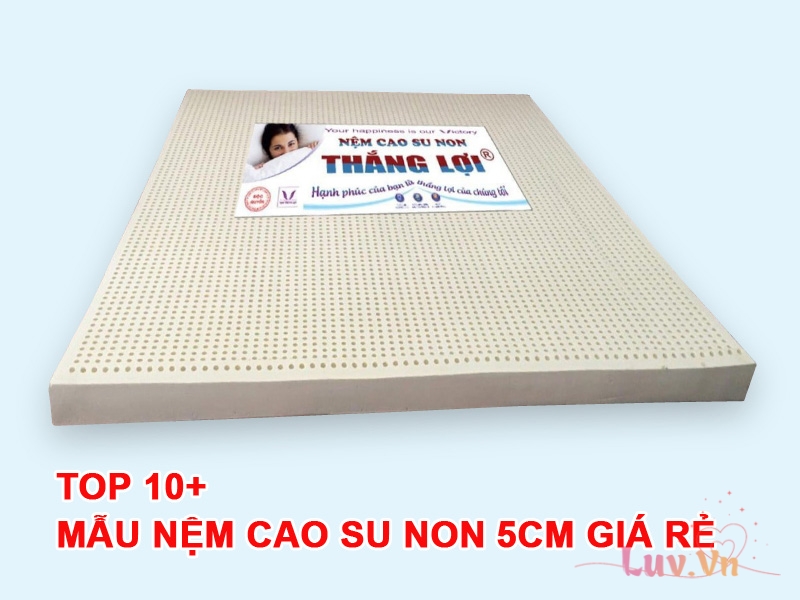 Top 10+ Mẫu Nệm Cao Su Non 5cm Giá Rẻ Chất Lượng 2023 14 Top 10+ Mẫu Nệm Cao Su Non 5cm Giá Rẻ Chất Lượng
