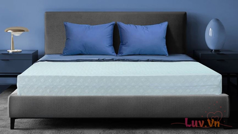 Top 10+ Mẫu Nệm Cao Su Non 5cm Giá Rẻ Chất Lượng 2023 11 Nệm cao su non 5cm Edena
