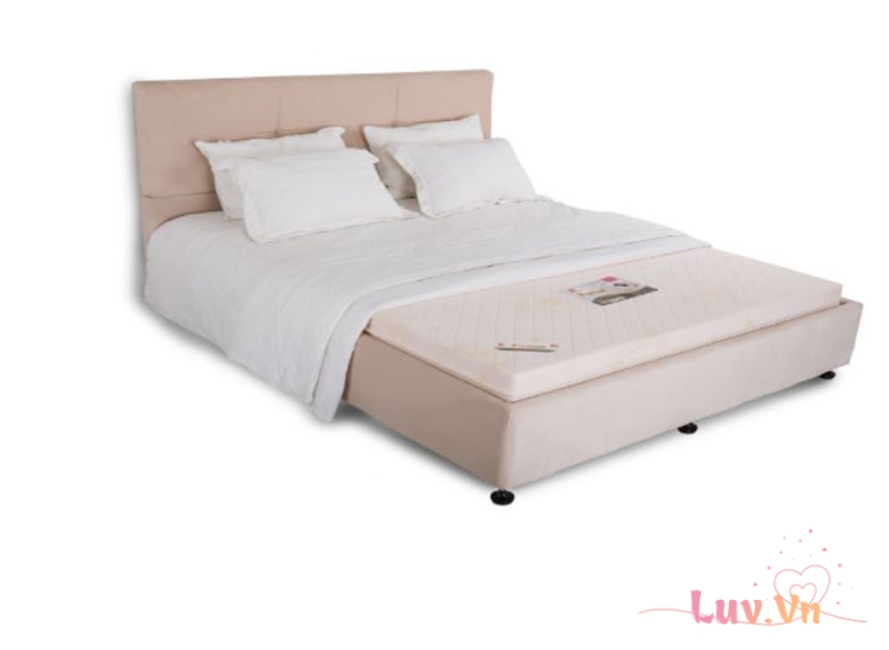 Top 10+ Mẫu Nệm Cao Su Non 5cm Giá Rẻ Chất Lượng 2023 12 Nệm cao su non 5cm Mousse Vạn Thành