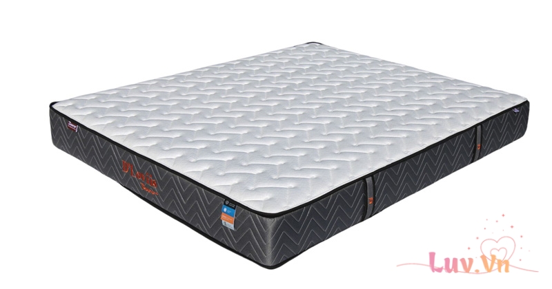 Đánh giá Nệm Lò Xo Túi Đa Tầng D’Loviis Hydric 13 2