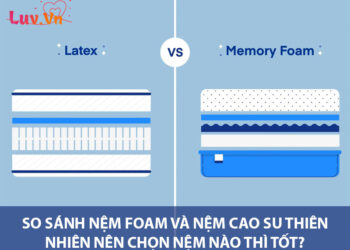 So sánh nệm foam và nệm cao su thiên nhiên nên chọn nệm nào thì tốt?