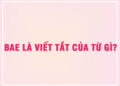 BAE là viết tắt của từ gì?
