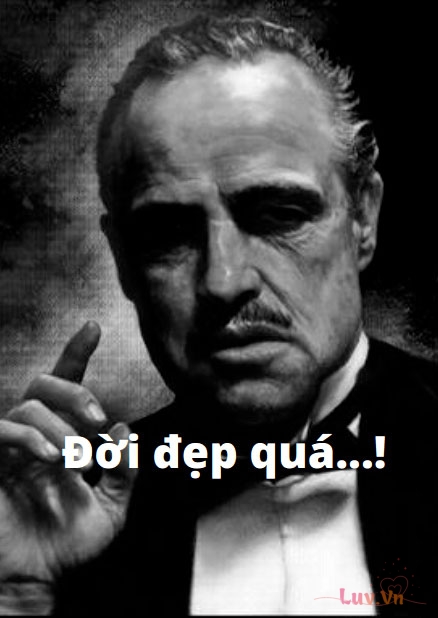 YOLO Là Gì? Quan Điểm Sống “YOLO” Có Tốt Không? 5 2