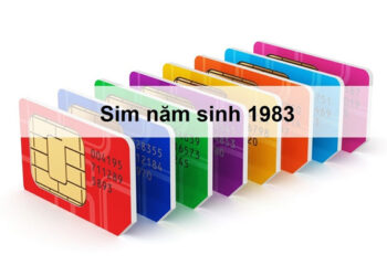 Cẩm nang chọn sim hợp tuổi 1983 Quý Hợi chuẩn phong thủy, kéo tài lộc