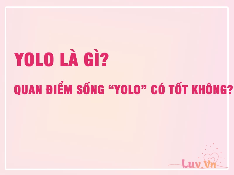 YOLO Là Gì? Quan Điểm Sống “YOLO” Có Tốt Không? 8 YOLO Là Gì?